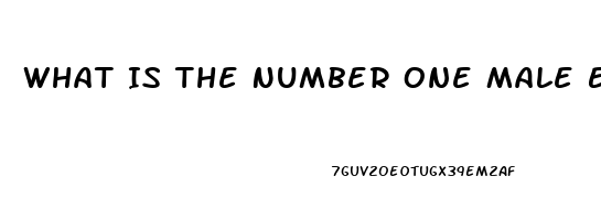 What Is The Number One Male Enhancement Pill For Growth And Endurance