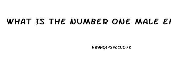 What Is The Number One Male Enhancement Pill For Growth And Endurance