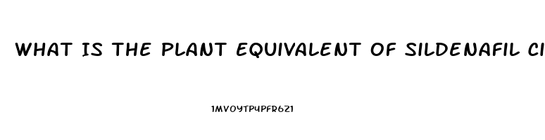 What Is The Plant Equivalent Of Sildenafil Citrate