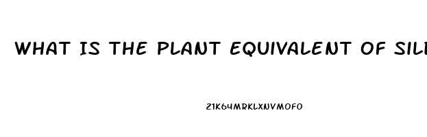 What Is The Plant Equivalent Of Sildenafil Citrate