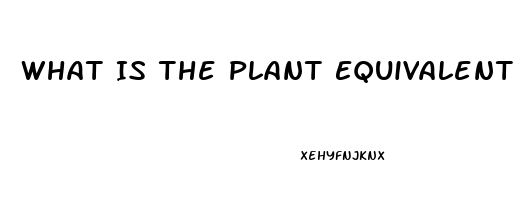 What Is The Plant Equivalent Of Sildenafil Citrate