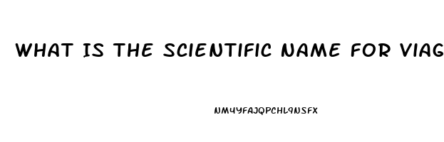 What Is The Scientific Name For Viagra