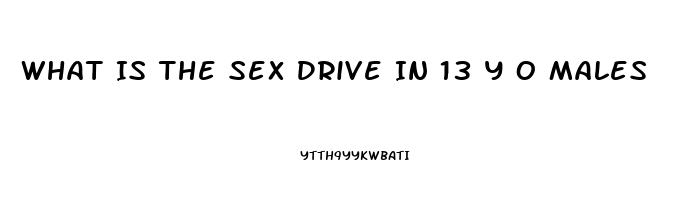 What Is The Sex Drive In 13 Y O Males