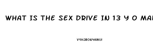 What Is The Sex Drive In 13 Y O Males