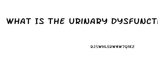 What Is The Urinary Dysfunction Associated With Cauda Equina Syndrome