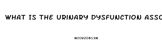 What Is The Urinary Dysfunction Associated With Cauda Equina Syndrome