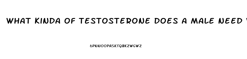What Kinda Of Testosterone Does A Male Need When You Dont Have A Sex Drive