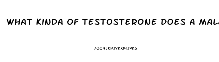 What Kinda Of Testosterone Does A Male Need When You Dont Have A Sex Drive