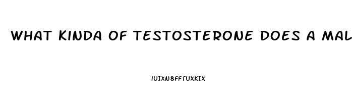 What Kinda Of Testosterone Does A Male Need When You Dont Have A Sex Drive
