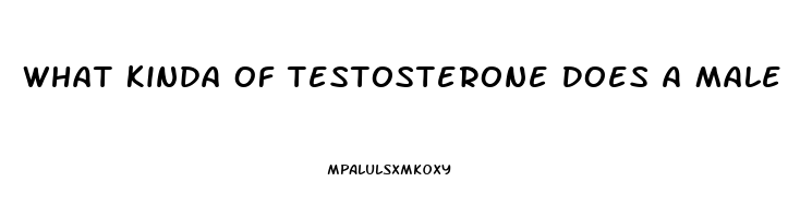 What Kinda Of Testosterone Does A Male Need When You Dont Have A Sex Drive