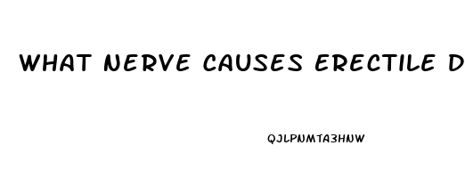 What Nerve Causes Erectile Dysfunction