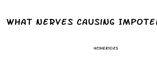 What Nerves Causing Impotence