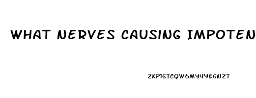 What Nerves Causing Impotence