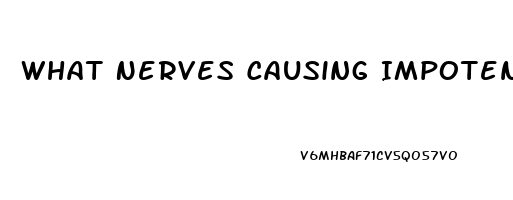 What Nerves Causing Impotence