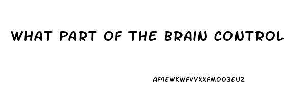 What Part Of The Brain Controls Sex Drive