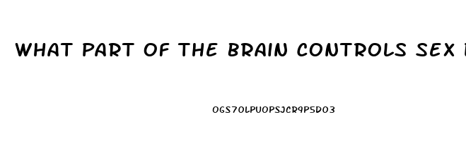 What Part Of The Brain Controls Sex Drive