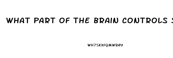 What Part Of The Brain Controls Sex Drive