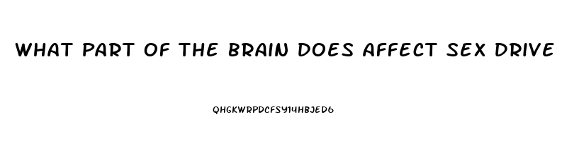 What Part Of The Brain Does Affect Sex Drive