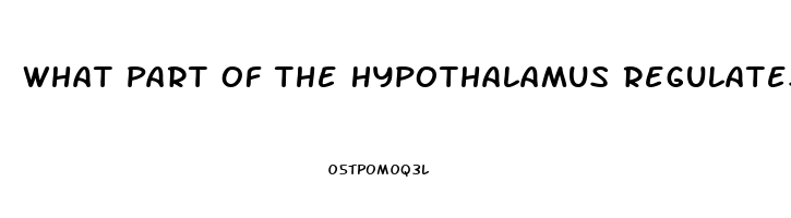 What Part Of The Hypothalamus Regulates The Sex Drive