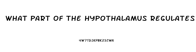 What Part Of The Hypothalamus Regulates The Sex Drive