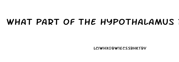 What Part Of The Hypothalamus Regulates The Sex Drive