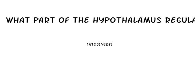 What Part Of The Hypothalamus Regulates The Sex Drive