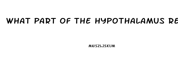 What Part Of The Hypothalamus Regulates The Sex Drive