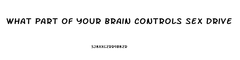 What Part Of Your Brain Controls Sex Drive