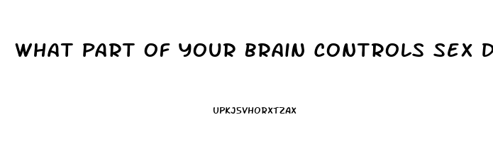 What Part Of Your Brain Controls Sex Drive