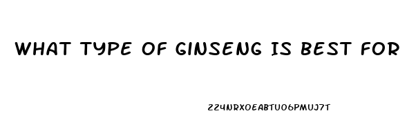 What Type Of Ginseng Is Best For Erectile Dysfunction