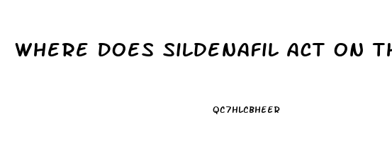 Where Does Sildenafil Act On The Penis