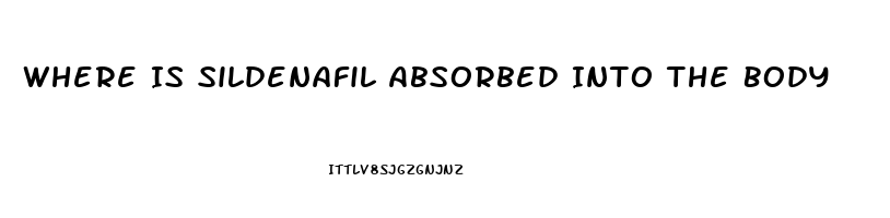 Where Is Sildenafil Absorbed Into The Body