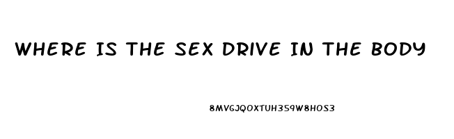 Where Is The Sex Drive In The Body