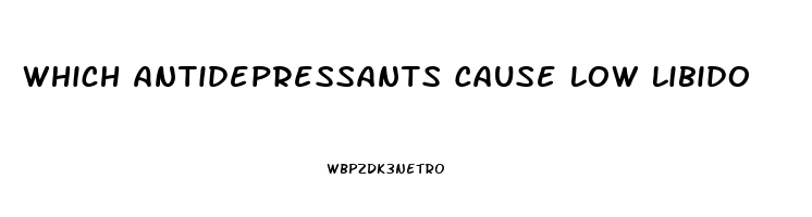 Which Antidepressants Cause Low Libido