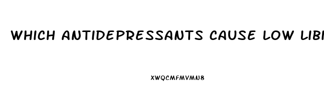 Which Antidepressants Cause Low Libido