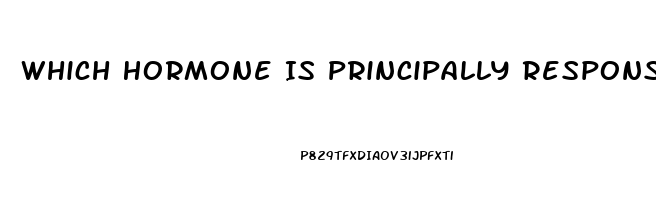 Which Hormone Is Principally Responsible For Sex Drive In Women