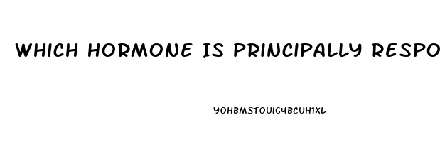 Which Hormone Is Principally Responsible For The Sex Drive In Women