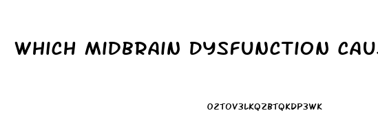 Which Midbrain Dysfunction Causes Pupils To Be Pinpoint Size And Fixed In Position