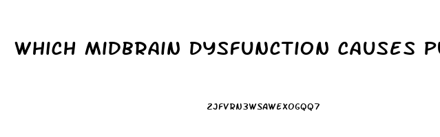 Which Midbrain Dysfunction Causes Pupils To Be Pinpoint Size And Fixed In Position
