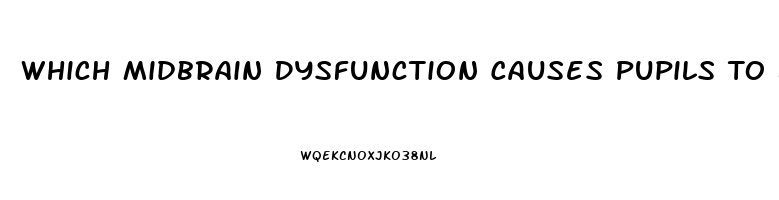 Which Midbrain Dysfunction Causes Pupils To Be Pinpoint Size And Fixed In Position