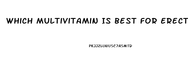 Which Multivitamin Is Best For Erectile Dysfunction