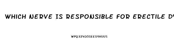 Which Nerve Is Responsible For Erectile Dysfunction