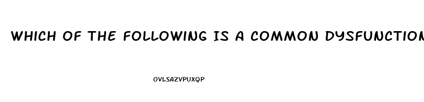 Which Of The Following Is A Common Dysfunction Of Teams