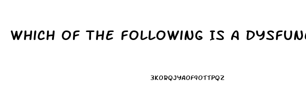 Which Of The Following Is A Dysfunction Of Religion