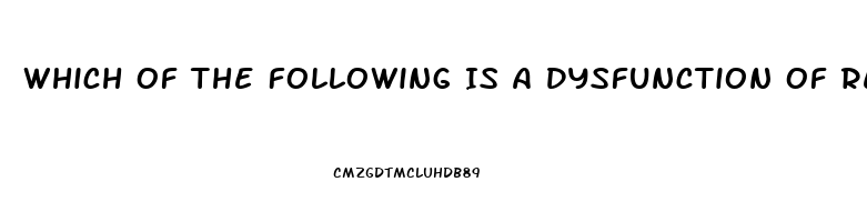 Which Of The Following Is A Dysfunction Of Religion
