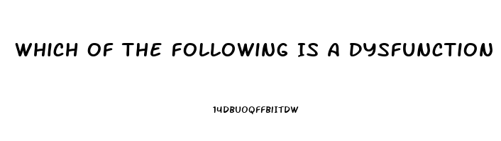 Which Of The Following Is A Dysfunction That The Media May Have