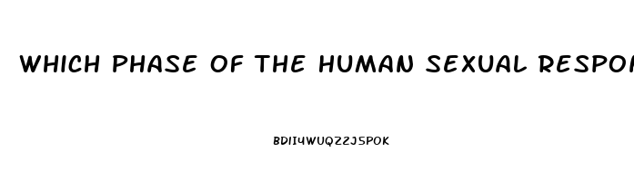 Which Phase Of The Human Sexual Response Cycle Is Not Affected By A Sexual Dysfunction