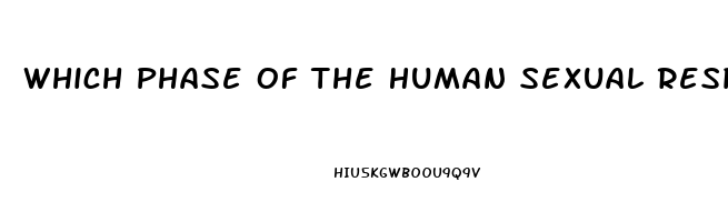 Which Phase Of The Human Sexual Response Cycle Is Not Affected By A Sexual Dysfunction