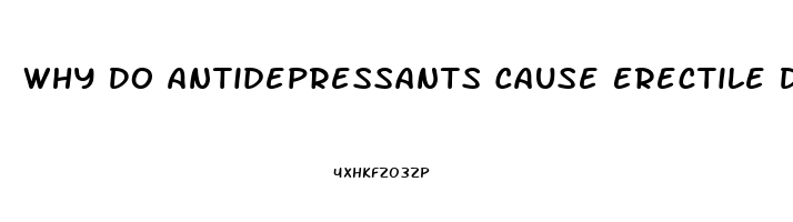 Why Do Antidepressants Cause Erectile Dysfunction
