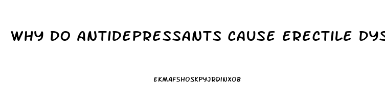 Why Do Antidepressants Cause Erectile Dysfunction